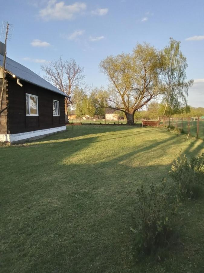 Domek U Kazi Sadowne Kültér fotó